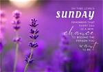 Embracing the Serenity of Sunday: Greetings and Blessings