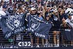 Essential Insights for Raiders Fans