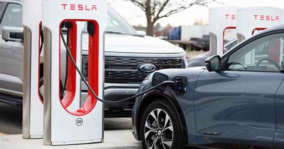 Ev Pioneer Can Compete with Tesla and Elon Musk