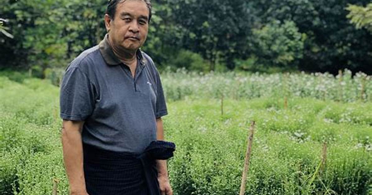 Exploring the Enigmatic World of Neighbours Kpkuang