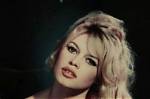 Exploring the Life of Brigitte Bardot's Son: a Journey Through Fame and Legacy