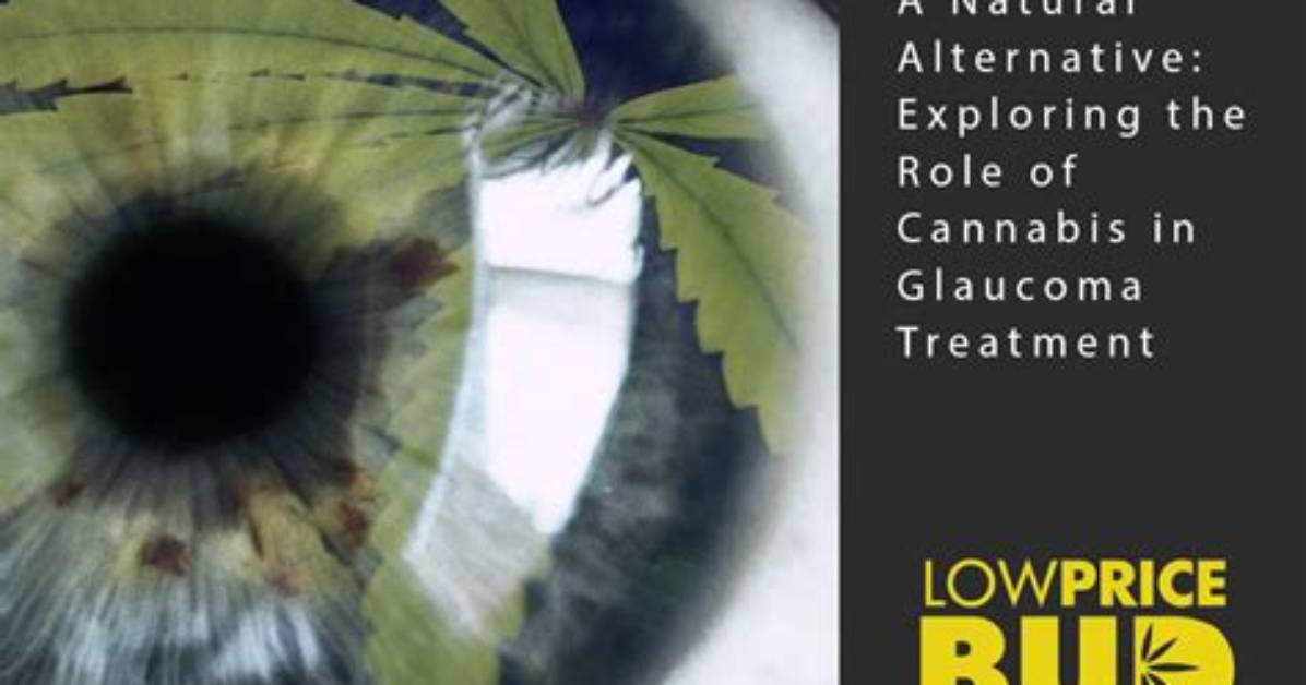 Exploring the Role of Bud on the Cosby Show: a Character Analysis