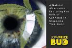 Exploring the Role of Bud on the Cosby Show: a Character Analysis