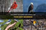 Exploring the Symbolism of Birds in the Bible