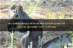 Exploring the Truth Behind "Where the Wild Things Are" Song