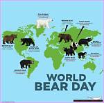 Exploring the World of Bear Texting: a Unique Communication Style