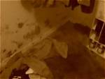 Fidel Lopez Crime Scene Photos the Story Behind Gruesome Murder |