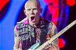 Flea: the Vibrant Bassist of the Red Hot Chili Peppers