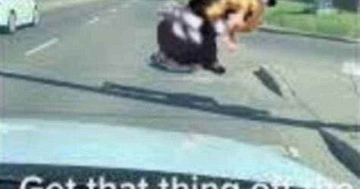 Get That Thing off the Road