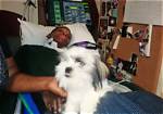 Hakeem Pinckney Accident What Happened? Case Details and Family