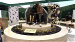 Honoring the Memory of Markese Bryant