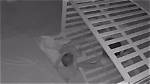 Horrifying Cctv Captures Kidnapp Attempt | Mom's Quick Thinking Saves the Day