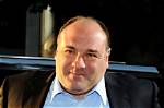 How Did James Gandolfini Die