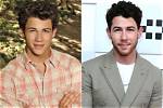 How Tall Is Nick Jonas? 'Camp Rock' Alum Once Hit Back at a Fan for Calling Him 'Short'