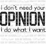 I Don't Need Your Opinion