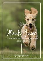 Imskirby Dog: the Ultimate Guide to Understanding This Remarkable Breed