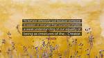 In Spite of Ourselves: Understanding the Power of Resilience in Daily Life