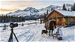 Inside the Yukon Vet's Net Worth