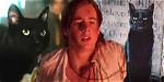 Is Gilberts Cat Cobweb in Hocus Pocus 2 Actually Thackery Binx?