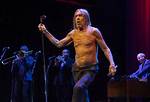 Is Jimmy Pop Related to Iggy Pop? Celebrity. Fm #1 Official Stars, Business & People Network, ·