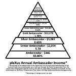 Is Plexus a Pyramid Scheme?
