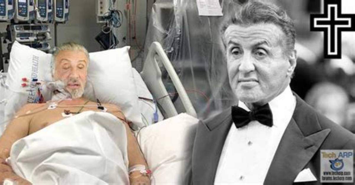 Is Sylvester Stallone Dead or Alive? the Truth About His Death Hoaxes! |