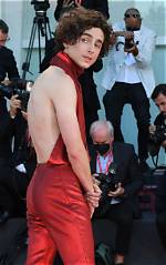 Is Timothee Chalamet Gay? Sexuality Explored