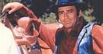 James Drury – Biography, Spouse, Children, Height, Is He Dead or Still Alive?