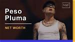 Jazzvib | Peso Pluma Net Worth