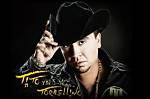Jivevib | Tito Torbellino (World Music Singer)