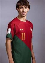 Joao Felix Net Worth, Age, Height, Bio, Birthday, Wiki!