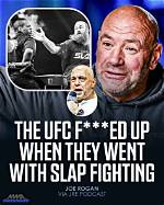 Joe Rogan Shares His Thoughts on F*Cking Amazing Matt Walsh Documentary Thatno One Is Revi