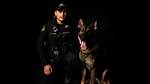 K9 Arlo ·