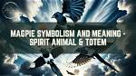 Magpie Spirit Animal Totem Meaning: Forgive and Move On