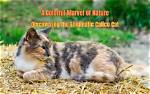 Maligoshik: the Enigmatic Marvel of Nature