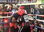 Marco Hall's Boxing Record Exposed