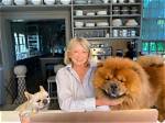 Martha Stewart's Dogs and Their Enduring Impact