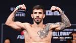 Meaning Behind the Ufc Flyweights Inks Explained