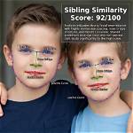 Mellstroy Family Resemblance: a Portrait of Similarity