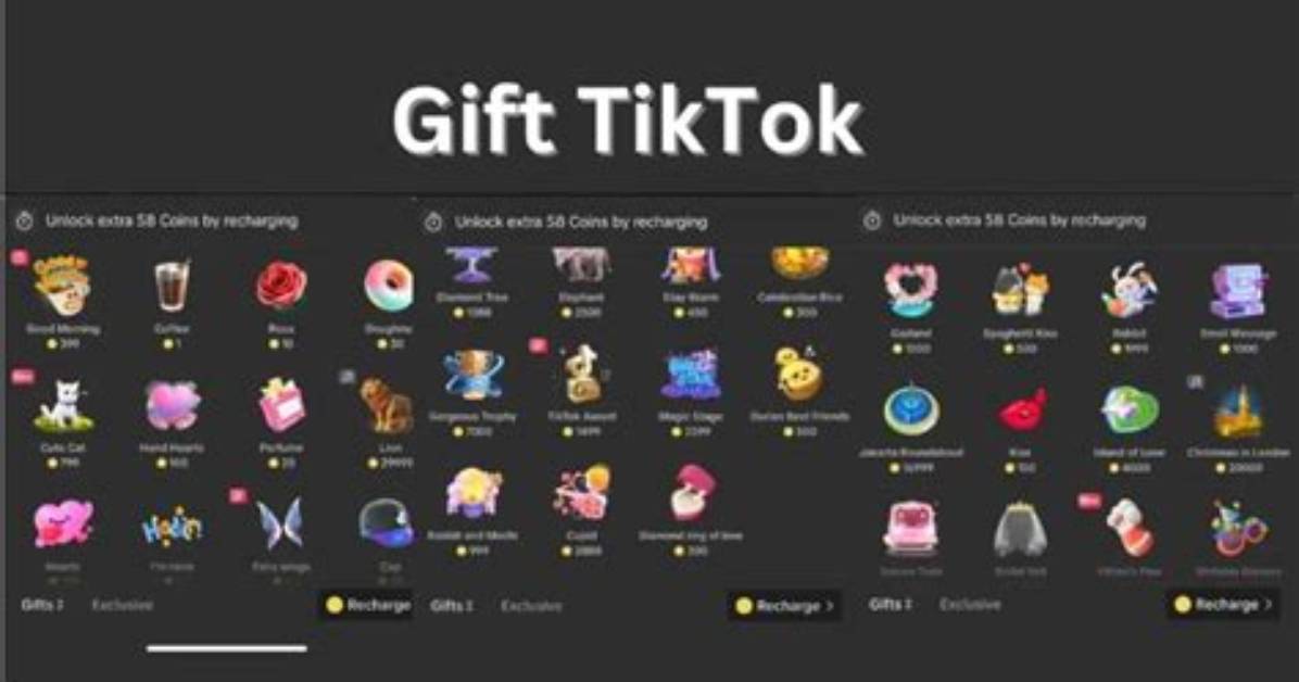 Most Expensive Gift on Tiktok