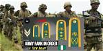 Navigating the Hierarchy: Understanding the Nigerian Army Rank Structure
