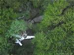Obituary: Nick Popovich Dead or Alive? Plane Crash -Everything to Know About the Actor