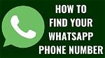 Phone Number, Whatsapp, and More