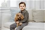 Prince Oscar of Sweden: a Royal Life in the Spotlight