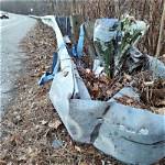 Sara Laboissonniere Obituary and Car Accident
