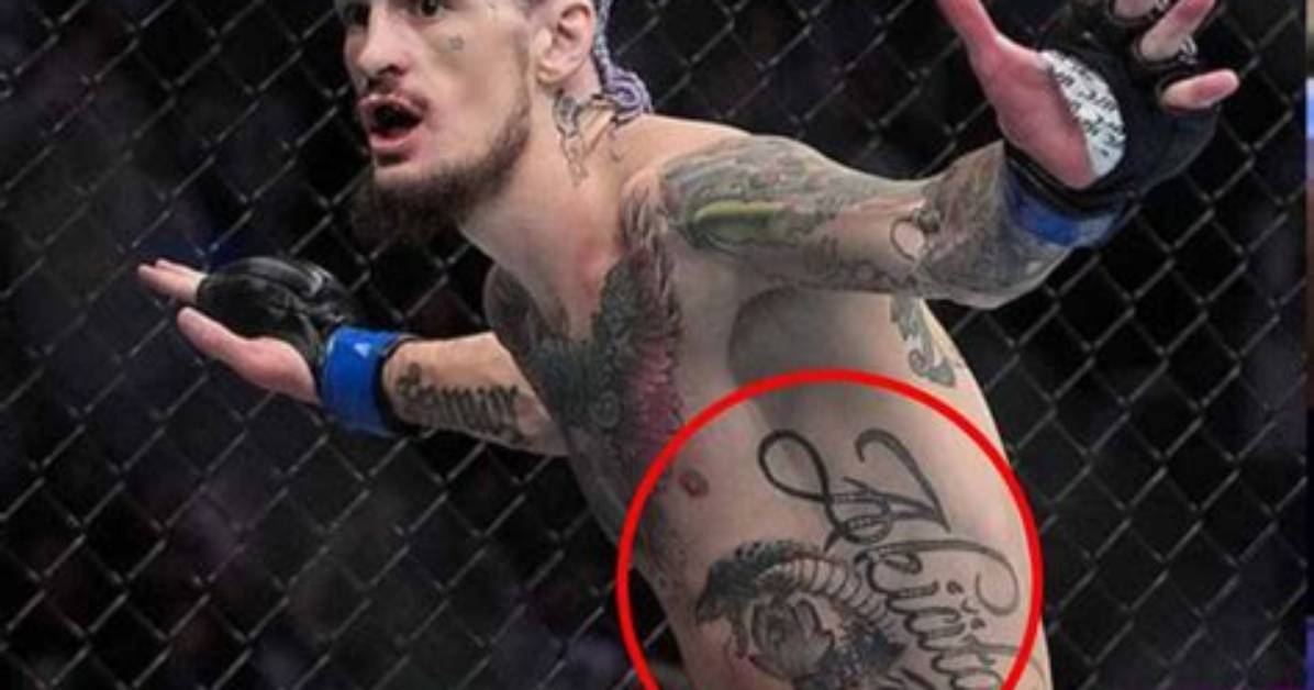 Sean O'malley Tattoo Cover Up