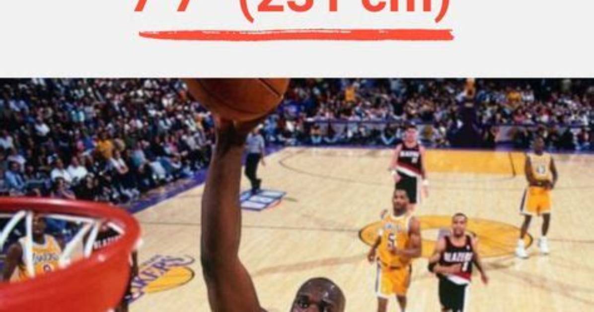 Shaq Wingspan: Unveiling the Secrets of His Dominance