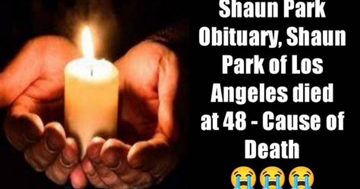Shaun Park Suicide Linked to Death Cause Family Mourns the Loss