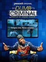 Snoop Dogg's Criminal Record: a Look into the Life of a Hip-Hop Icon
