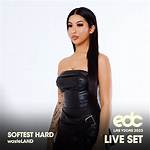 Softest Hard | Jivesync